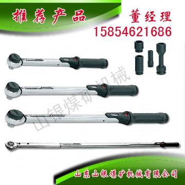 點擊查看詳細信息<br>標題：顯示扭力扳手 閱讀次數(shù)：1600