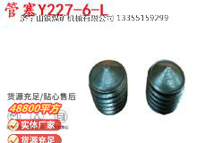 點(diǎn)擊查看詳細(xì)信息<br>標(biāo)題：英格索蘭隔膜泵配件管塞Y227-6-L 閱讀次數(shù)：192