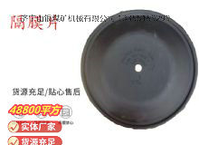 點擊查看詳細信息<br>標題：氣動隔膜泵配件-隔膜片 閱讀次數(shù)：156