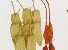 點擊查看詳細(xì)信息<br>標(biāo)題：取氣樣球膽 閱讀次數(shù)：52